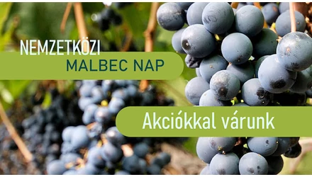 Malbec Bor Nap - 7 érdekesség a Malbecről