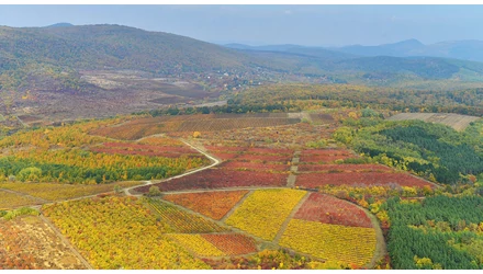 Bortúrák az otthonodban - Thummerer Vili Papa Cuvée 2009 - Egri borvidék