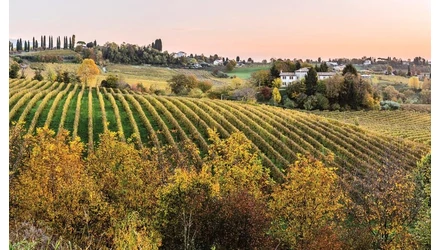 Prosecco-t kóstolunk Valdobbiadene-ben, Olaszországban - Bortúrák az otthonodban sorozatunk