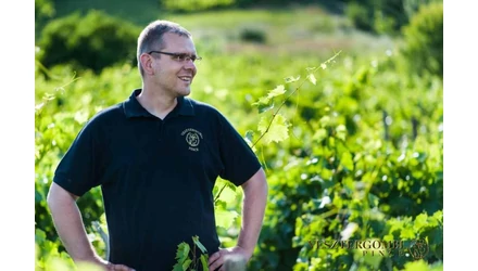  Szüreti beszámoló  2020 - Vesztergombi Csaba - Vesztergombi Borok