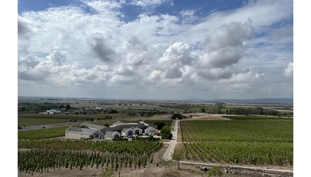 A világ Top 100 borászata között a Disznókő