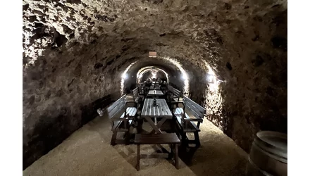 Disznókő – Tokaj kapujából a világ Top 100 borászata közé
