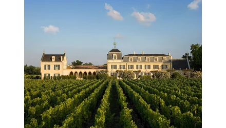 Bordeaux-i vörösek és Burgundi fehérek - Bortúrák az otthonodban