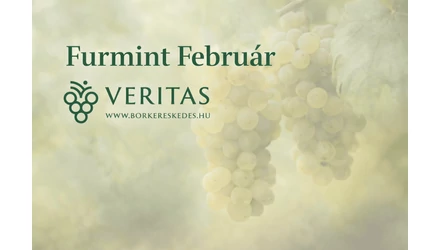 Minden, amit a Furmintról tudni érdemes 