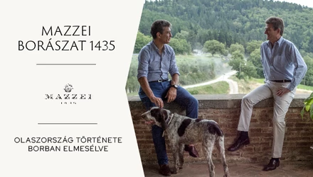 Mazzei, a bor, amire 600 évet vártunk - Olaszország története borban elmesélve 