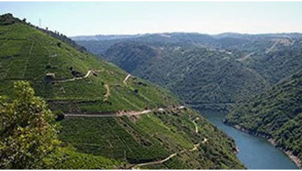 Bortúrák az otthonodban - Spanyolország - Bor, történelem és elegancia