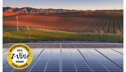 Yealands Új-Zéland - A környezettudatos borfogyasztók borai - Újvilági Sauvignon Blanc