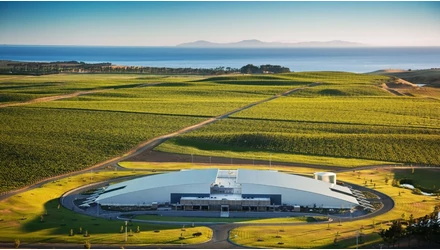 Yealands Sauvignon Blanc – Ezért ennyire népszerű az új-zélandi sauvignon blanc